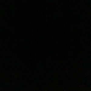 Meet your Posher, Gianna